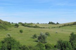 Rolling hills, Osmington Mills Wallpaper