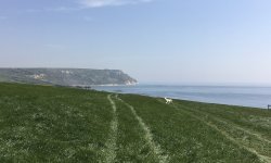 Osmington Mills footpath to Ringstead Wallpaper