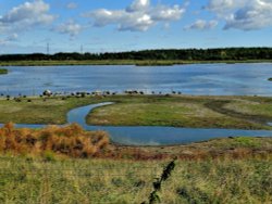 RSPB Old Moor Wallpaper