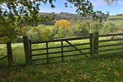 Grounds of Snowshill Manor Wallpaper