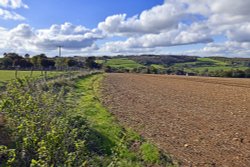 Near Batsford Wallpaper