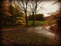 Autumn in Royton Wallpaper