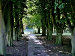 Elsecar Park Wallpaper