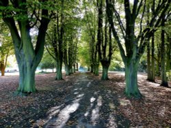 Elsecar Park Wallpaper