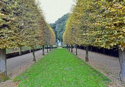 Hidcote Manor Garden Wallpaper