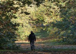 Greenwich Park in Autumn