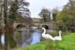 On the River Teme