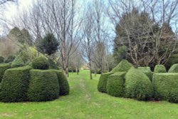 Nymans Garden Wallpaper