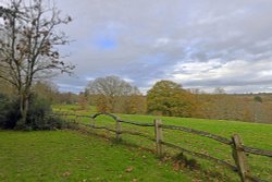 Nymans Garden Wallpaper