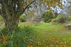 Nymans Garden Wallpaper