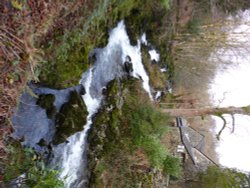 Rydal Hall Grounds Wallpaper