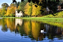 Autumn View of Painshill's Ruined Abbey with Swan Wallpaper