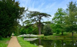 The Wollett Bridge and the Great Cedar in Painshill Park Wallpaper