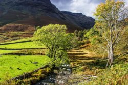 Wasdale Head Wallpaper