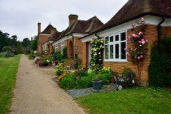 Cottages on Octagon Road Wallpaper