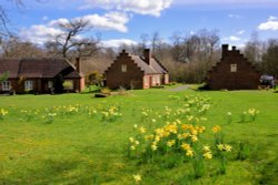 Drapers Crescent Springtime View with Daffodils Wallpaper