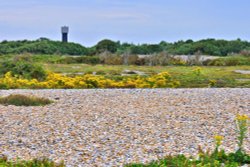 Dungeness Shingle Fields & The Old Water Tower Wallpaper