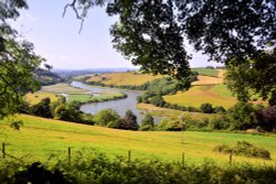 River Dart View from Sharphams Near Totnes Wallpaper