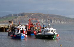 Lyme Regis