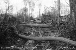 Gale Force Wind Damage, Badminton, Gloucestershire 1990 Wallpaper