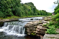 Aysgarth Lower Falls, First Drop Wallpaper