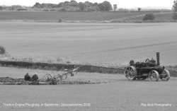 Traction Engine Ploughing, nr Badminton, Gloucestershire 2016 Wallpaper