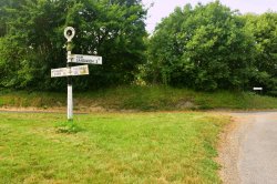 The Ham Sandwich Sign Near Worth Village Wallpaper