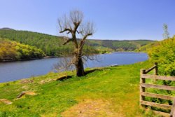 Towards the Western End of Ladybower, from the Snake Pass Wallpaper