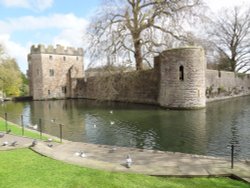 Bishop's Palace, Wells, Somerset Wallpaper