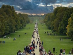 Windsor great park Wallpaper