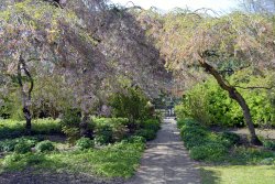 Newby Hall Garden Wallpaper