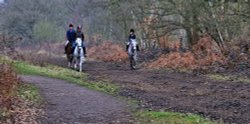 Horse Riding on Wimbledon Common Wallpaper