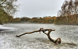 Winter View of Misty Kingsmere Wallpaper