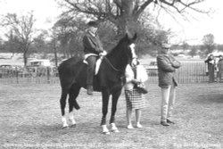 HRH Princess Anne on Goodwill, Badminton, Gloucestershire 1973 Wallpaper