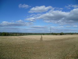 Padbury, 'East Field'. Wallpaper