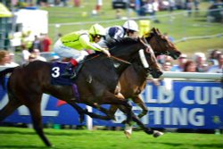 Full Race Mode Towards the Finish Line in the Epsom Derby Wallpaper