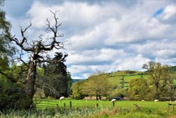 Looking toward Knighton. Wallpaper