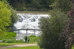 Blenheim Palace Garden Wallpaper