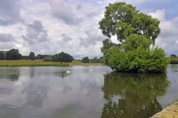 Petworth Park Wallpaper