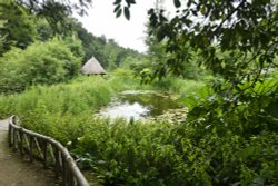 The Water Garden at Arundel Castle Wallpaper