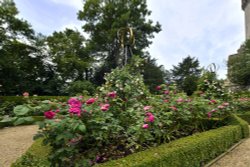 The Rose Garden at Arundel Castle Wallpaper