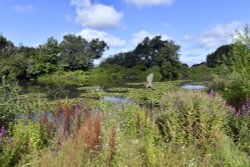 Sheepwash Pond at Hatchlands Park Wallpaper