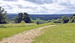 View from Newlands Corner Wallpaper