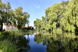 The village pond in Holyport, Berkshire