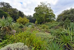 Doddington Place Rock Garden Wallpaper