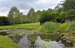 Doddington Place Garden Pond Wallpaper