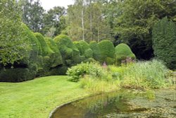 Doddington Place Garden Pond Wallpaper