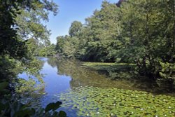 Chiddingstone Castle Lake Wallpaper