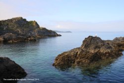 The coastline at Mevagissey Wallpaper