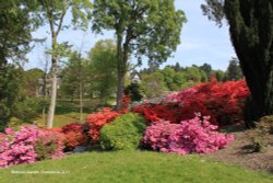 Bodnant Garden Wallpaper